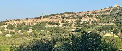 a village on top of a hill with trees at La Farigoulette - Vieux village in Saint-Saturnin-les-Apt