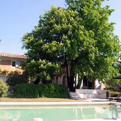 Mas provencal XIXème siécle avec piscine