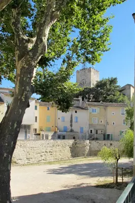 a tree in front of a wall and buildings at Holiday Home L' amandier by Interhome in Saint-Didier