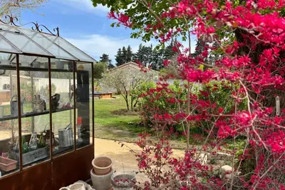 a garden with pink flowers in a greenhouse at 