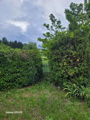 a hedge in front of a fence in a field at Maison charmante à Saint-Michel-l'Observatoire avec jardin in Saint-Michel-lʼObservatoire