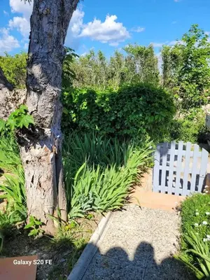 a white fence next to a tree and plants at Maison charmante à Saint-Michel-l'Observatoire avec jardin in Saint-Michel-lʼObservatoire