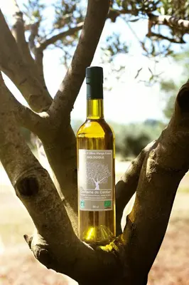 a bottle of wine sitting in a tree at Domaine de Canfier, maison d'hôtes in Robion en Luberon