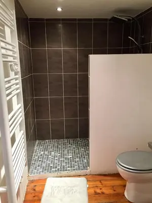 a bathroom with a shower with a toilet at La Capucine in Cavaillon