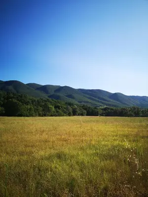 a field of grass with mountains in the background at Le Petit Paradis in Saint-Martin-de-Castillon