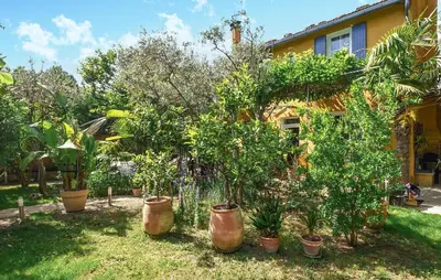 a garden with plants in pots in front of a house at 3 Bedroom Awesome Home In Carpentras in Carpentras