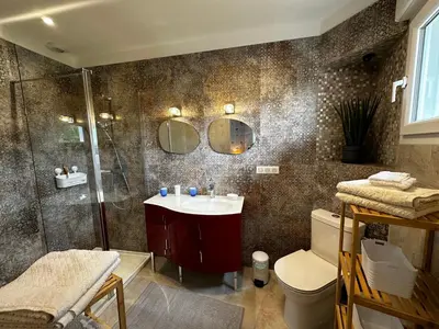 a bathroom with a shower and a sink and a toilet at Le refuge des oiseaux in Lourmarin