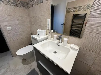 a bathroom with a sink and a toilet and a mirror at Le refuge des oiseaux in Lourmarin