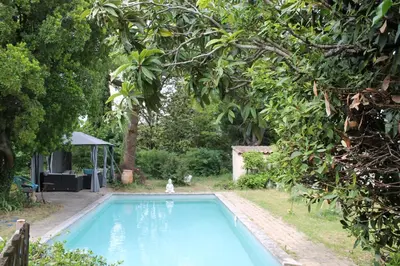 a blue swimming pool in a yard with trees at Maison provençale avec piscine in Loriol-du-Comtat
