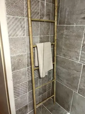 a shower with a towel rack in a bathroom at Mazet provençal in Eyguières