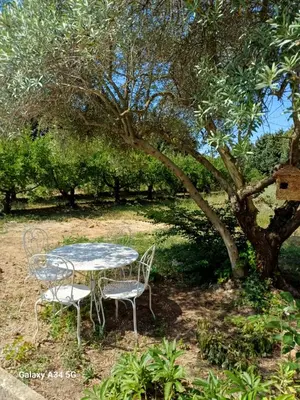 a table and chairs sitting under a tree at La Maison de Papé et Mamé in LʼIsle-sur-la-Sorgue