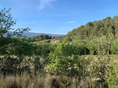 a field with trees and a house in the distance at Côté Ansouis in Ansouis