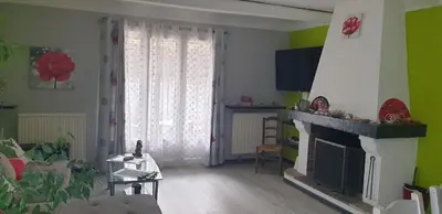 a living room with a fireplace and green walls at Chambre étudiant in Morières-lès-Avignon
