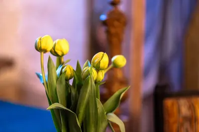 a bunch of yellow flowers in a vase at L'unique in Goult