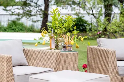 two wicker chairs and a table with plants on it at Gîte Le Figuier des Alpilles- 6p in Eygalières