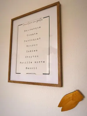 a picture hanging on a wall in a frame at Oustau di Gaffo in LʼIsle-sur-la-Sorgue