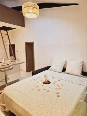 a bedroom with a large bed with flowers on it at T2 Havre de paix nature cœur d Aix in Aix-en-Provence