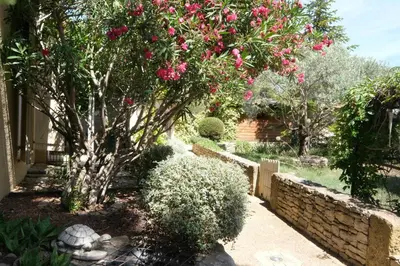 a garden with a tree with pink flowers at Air-conditioned house with heated pool, Luberon, in Maubec – 6 people in Maubec