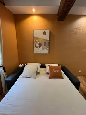 a bedroom with a large bed in a room at Logement studio avec vue sur le centre Historique in LʼIsle-sur-la-Sorgue