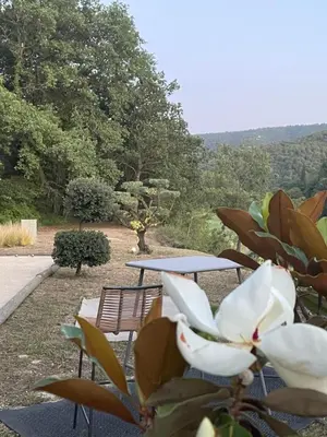 a table and chairs and flowers in a garden at Menerbes Luberon maison moderne clim piscine in Ménerbes