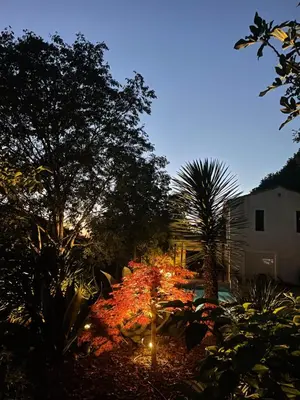 a garden lit up at night with trees and lights at Menerbes Luberon maison moderne clim piscine in Ménerbes