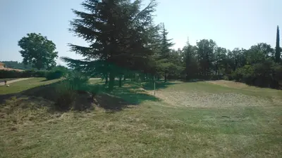 a grassy field with a pine tree on it at Chambres d'hôtes L'Amphitryon 5 CHAMBRES in Villemus
