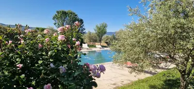 a garden with a pool with pink flowers and trees at La Bastide des Muriers in Gargas