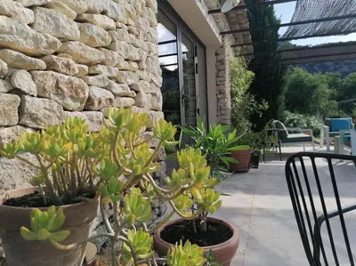 a group of potted plants in front of a stone wall at Le Mazet d'Alexis in Maubec