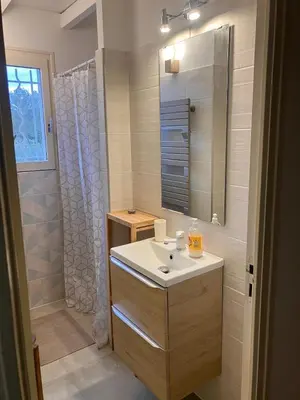 a bathroom with a sink and a shower at Villa Paradis des Oréades in Lauris