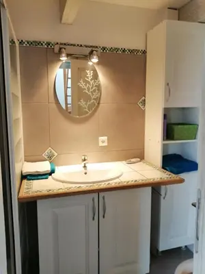 a bathroom with a sink and a mirror at la bastide aux buis avec piscine in Blauvac