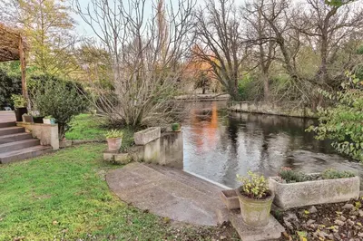 a body of water with some plants in a yard at La Maison Bleue in LʼIsle-sur-la-Sorgue