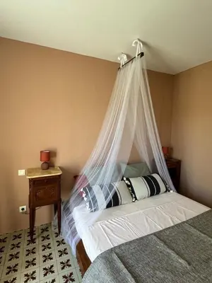 a bedroom with a bed with a mosquito net at Maison Jasmin in the city center with parking space and terrace in LʼIsle-sur-la-Sorgue