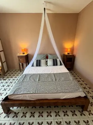 a bedroom with a bed with a mosquito net at Maison Jasmin in the city center with parking space and terrace in LʼIsle-sur-la-Sorgue