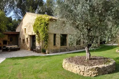 a stone house with a tree in front of it at Bergerie de charme proche Aix en Provence et Lubéron in Rognes