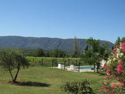 a villa with a pool in a vineyard with mountains at Maison face au Luberon avec piscine - 5 Chambres in Cabrières-dʼAvignon