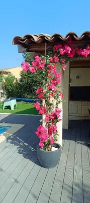 a potted plant with pink flowers on a porch at Chez Lucho et carole in La Bastidonne
