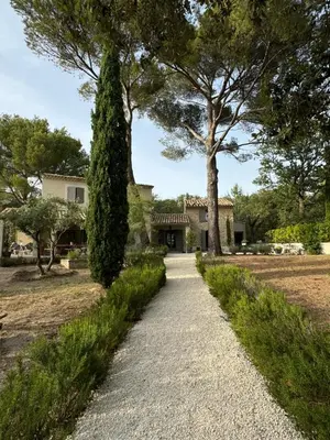 a path in front of a house with trees at Les Feuilleres in LʼIsle-sur-la-Sorgue