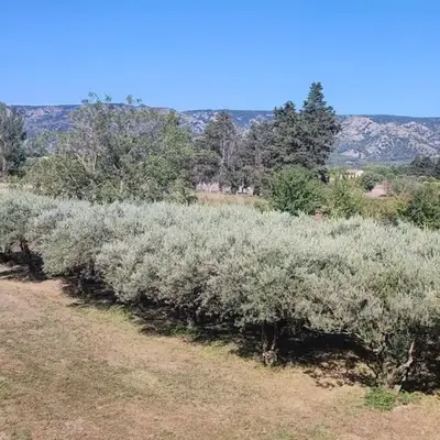 Véritable maison de campagne nouvellement rénovée au pied du Lubéron