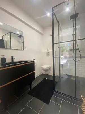 a bathroom with a shower and a sink and a toilet at Appartement de standing dans une bastide Aixoise in Aix-en-Provence