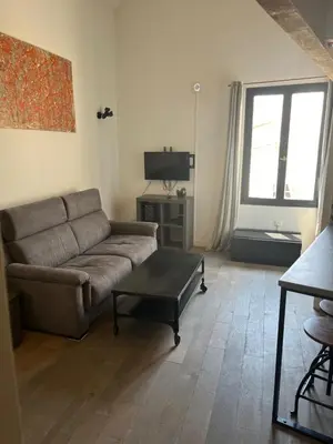 a living room with a couch and a tv at Le Loft de Roxane Centre historique Aix en Provence in Aix-en-Provence
