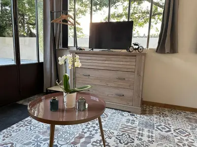 a living room with a tv and a table with flowers at La Provence in Maubec