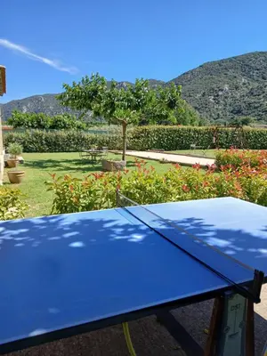 a blue ping pong table in a garden with a tree at Maison au coeur du Lubéron in Maubec
