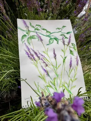 a picture of a bunch of purple flowers at Villa BELVENTO, superbe villa au calme, piscine, vue incroyable ! in Ventabren