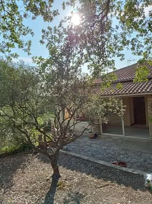 a small tree in front of a house at La garenne basse chez Sylvie in Saint-Didier