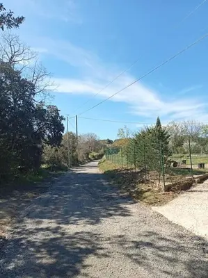 an empty road with trees on the side of it at La garenne basse chez Sylvie in Saint-Didier