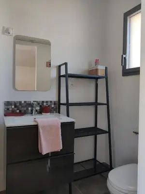 a bathroom with a sink and a mirror and a toilet at Gite l'épinette in Saint-Saturnin-les-Apt