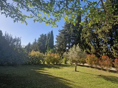 a garden with a tree in the middle of a field at le mazet de LOÏS in Carpentras