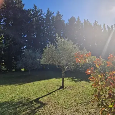 le mazet de LOÏS