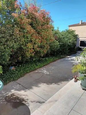 a sidewalk next to a bush with a tree at Chambre à louer à la nuitée in Sénas