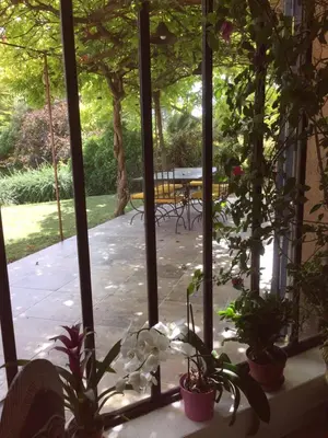 a view of a patio from a window with plants at La maison Danna in Lauris